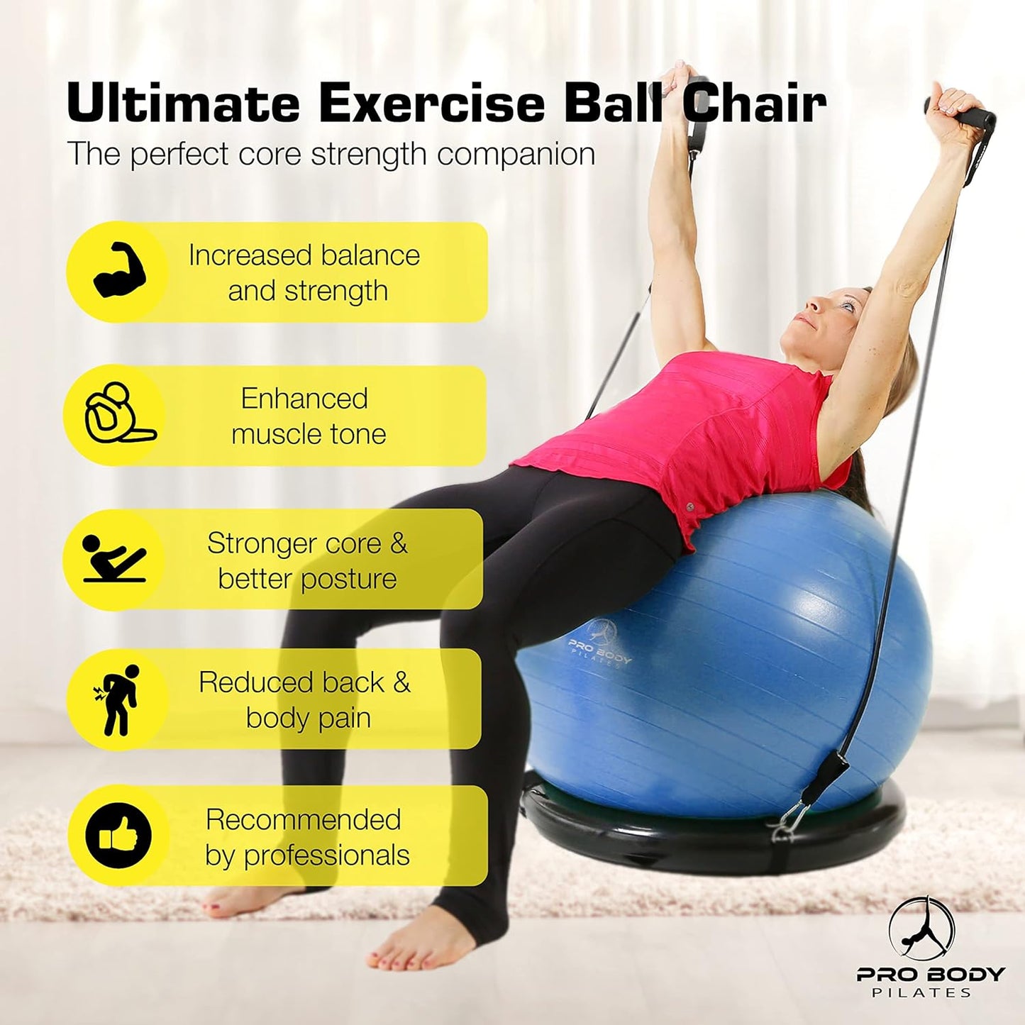 Exercise Ball Set